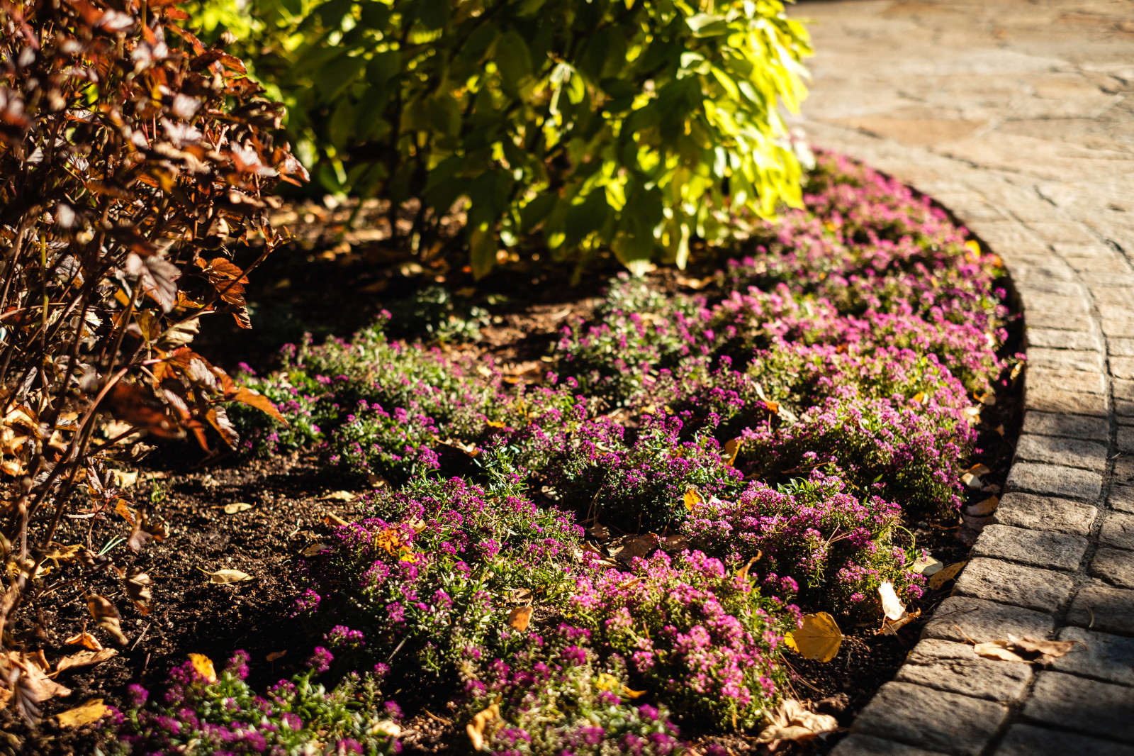 У леса на опушке