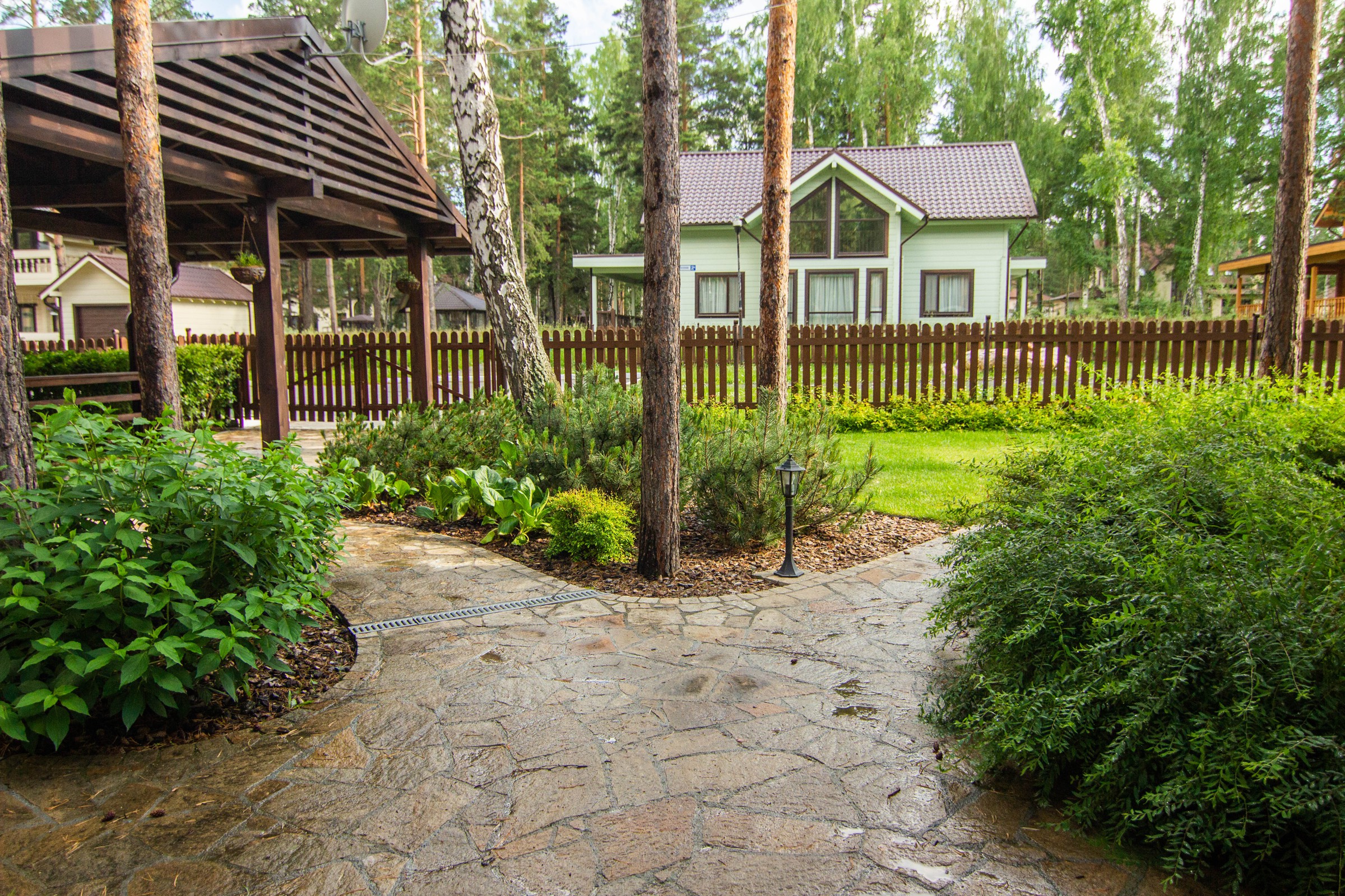 У леса на опушке