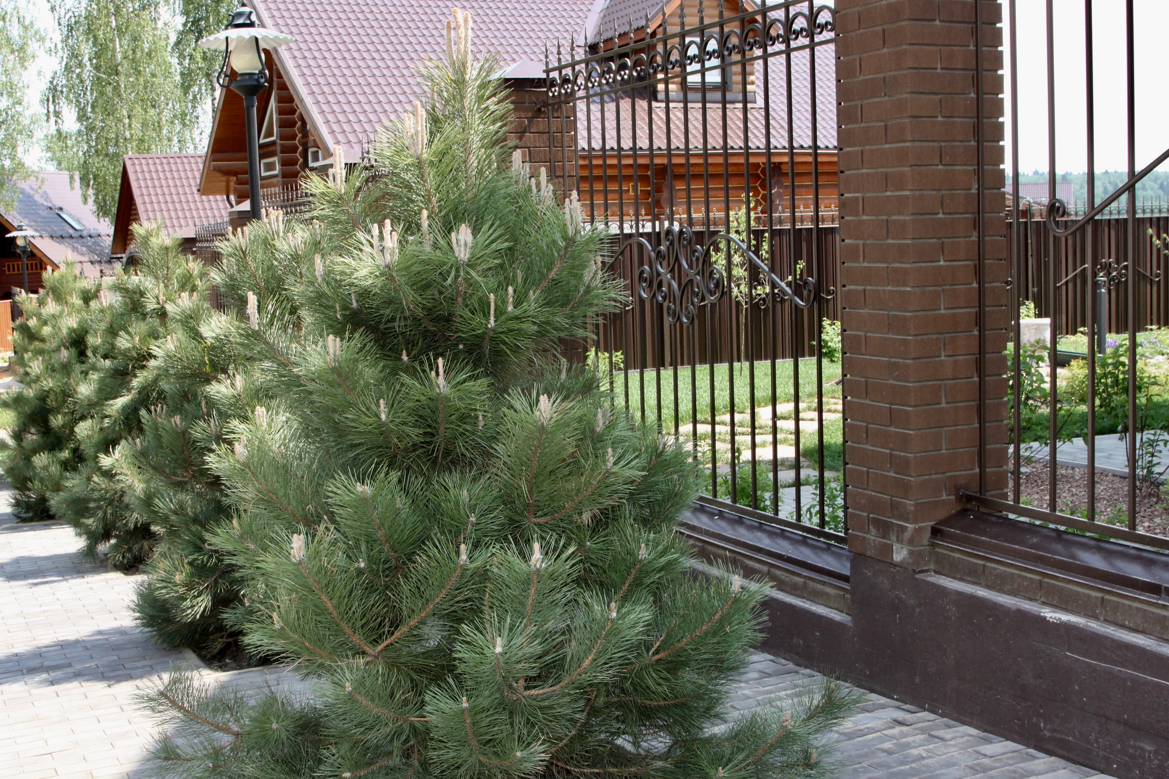 КП Солнечный город