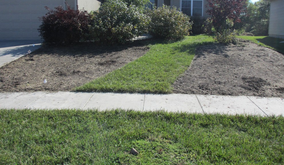 Рулонный газон: Лужайка, которую можно взять с собой