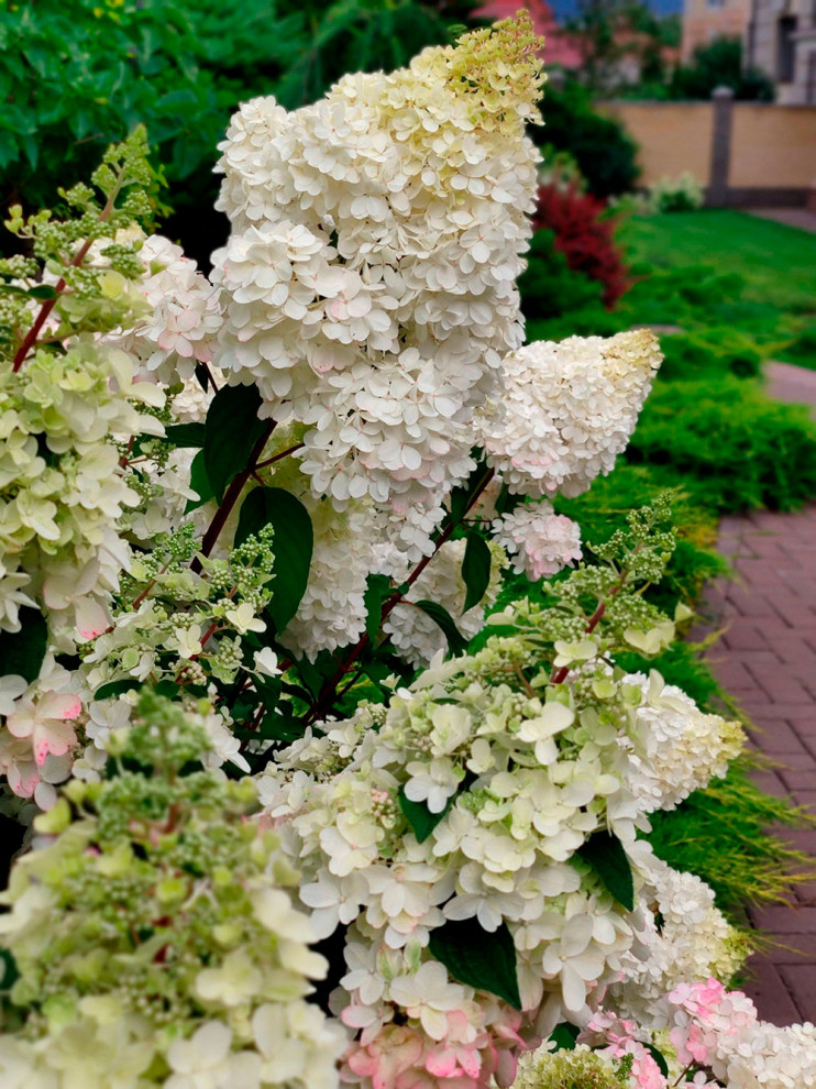 Нижегородский дворик