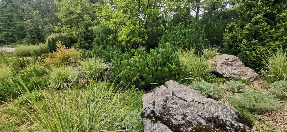 Лесное озеро