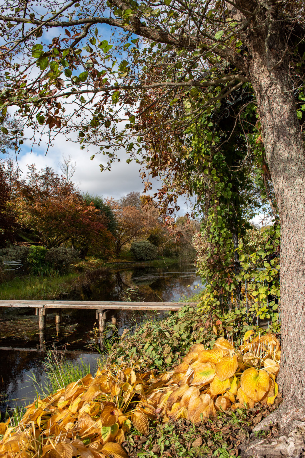 Ореховно. Музей-Усадьба.