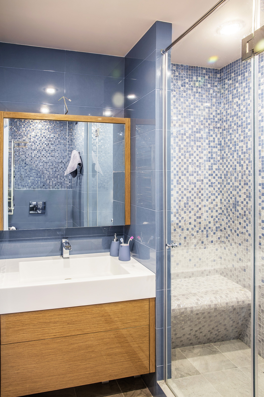 Обложка проекта: Проекты санузлов от дизайнера Юлии Лемон