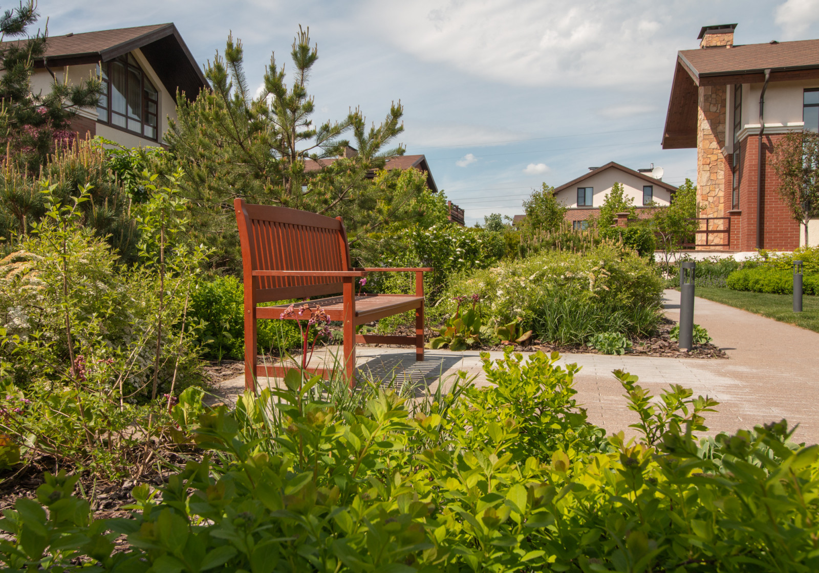 Опушкино_2019