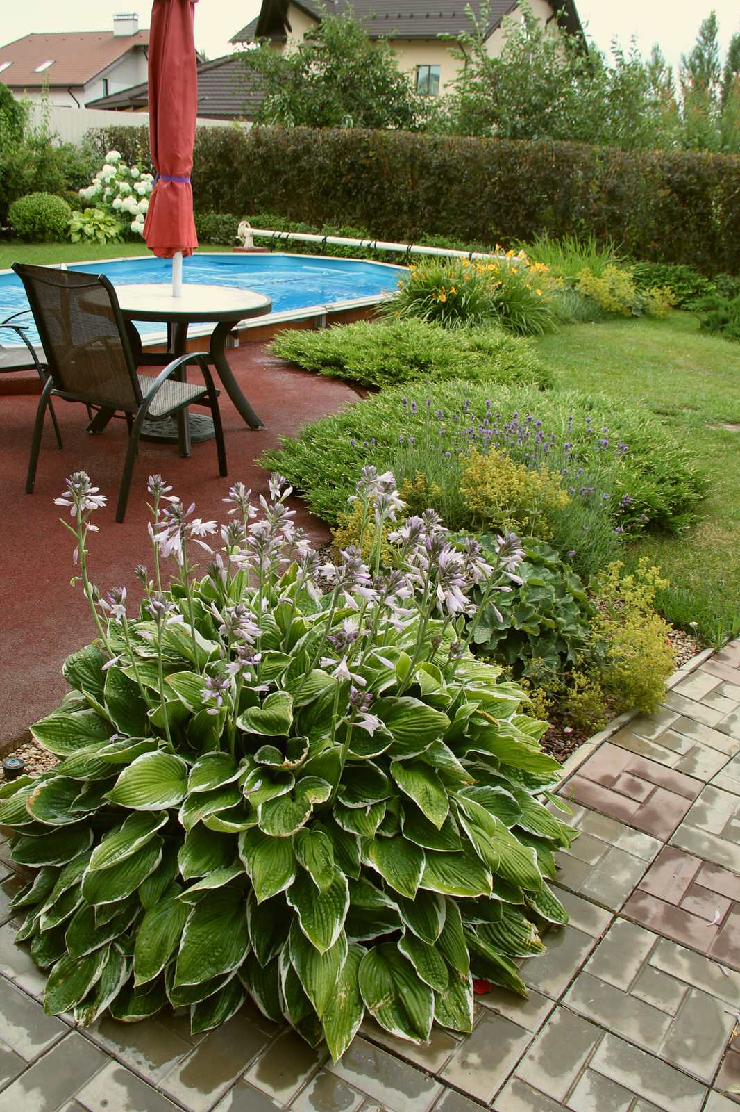 "Теплый ветер"