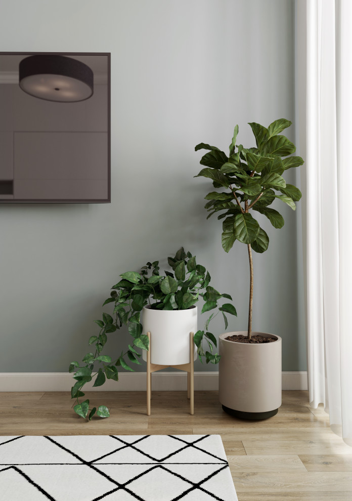 Cканди для семьи