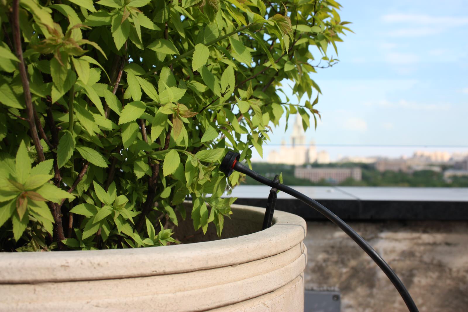 Автополив на крыше ул. Мосфильмовская