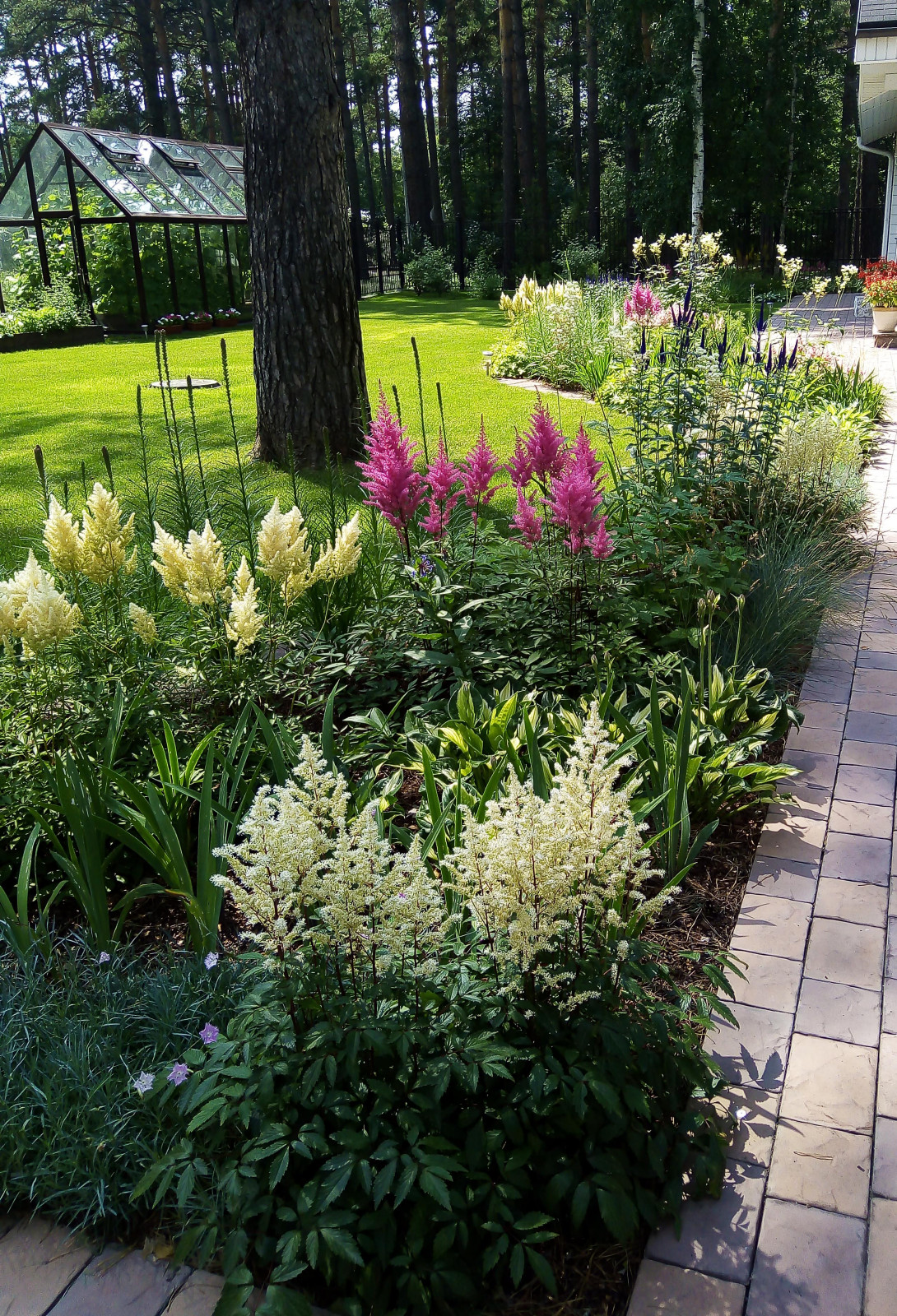 Цветники под пологом леса