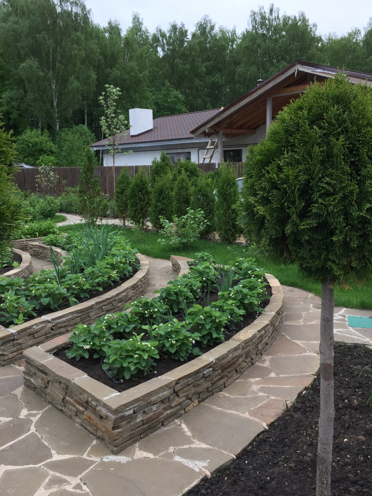 Вяземские сады