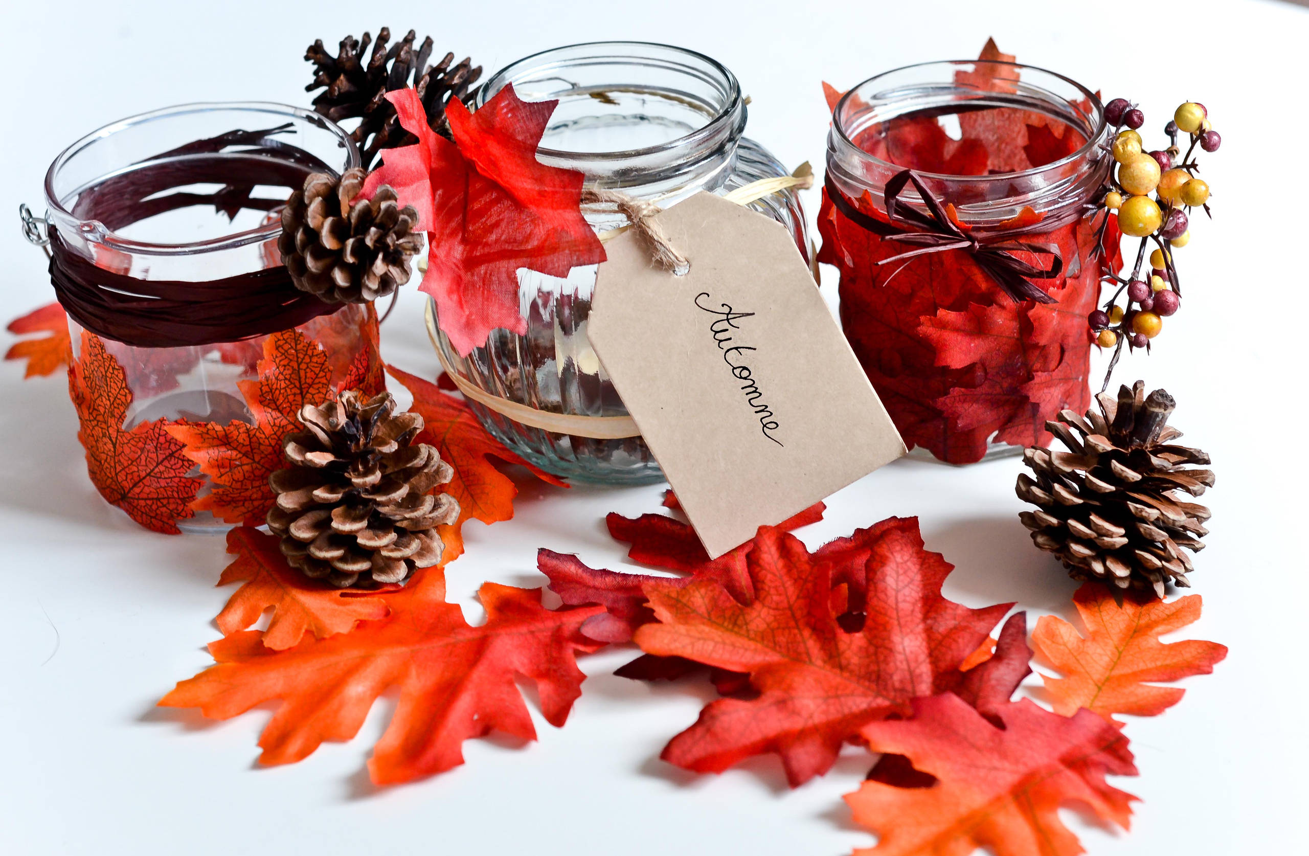 Фотоохота: 51 идея, как создать красивые поделки из листьев