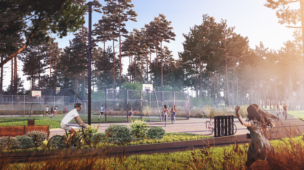 Репино парк