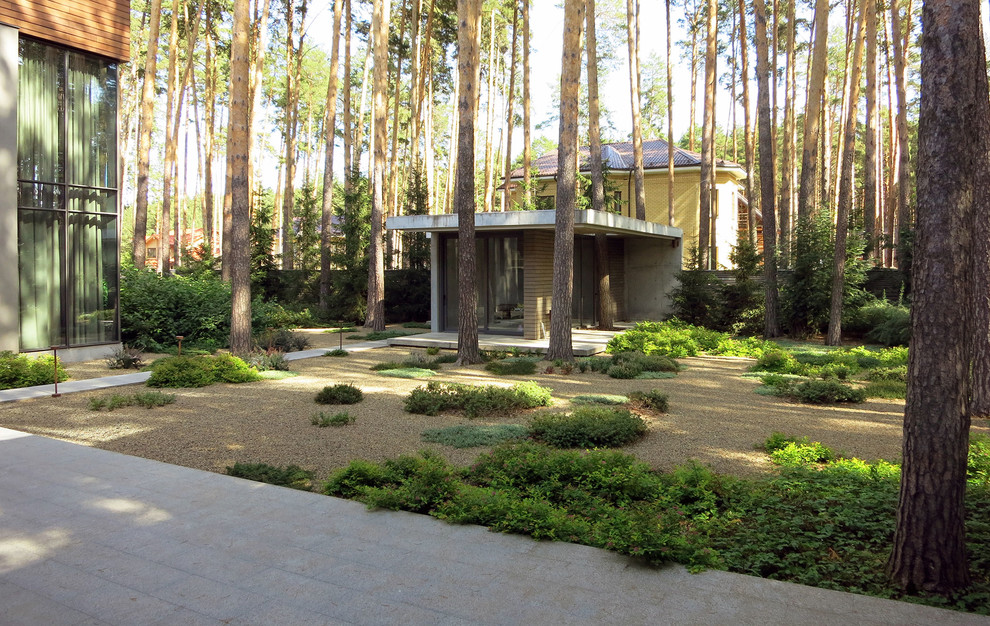 Лесные дорожки, явные и неявные