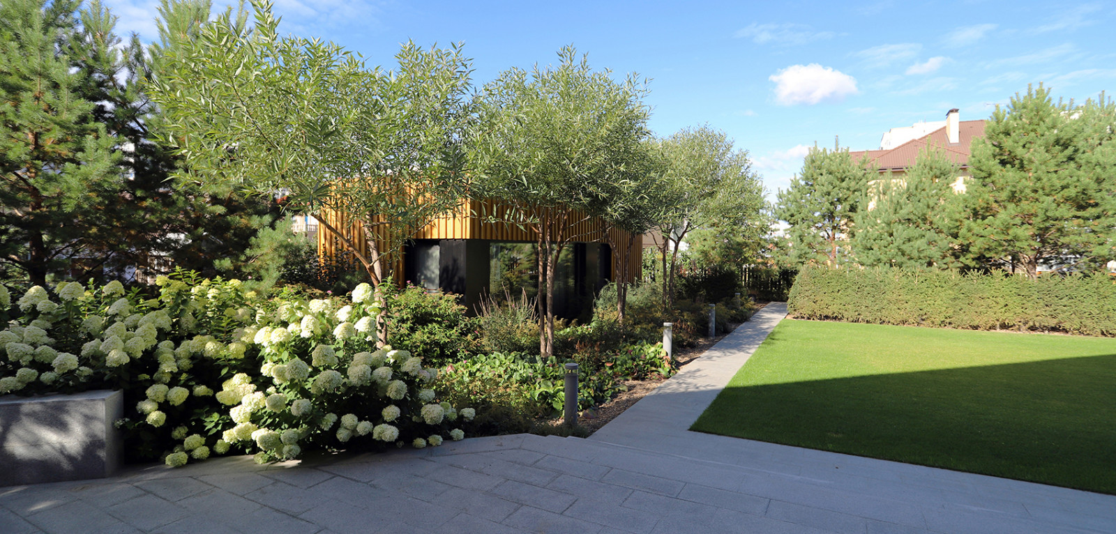 сад в городе