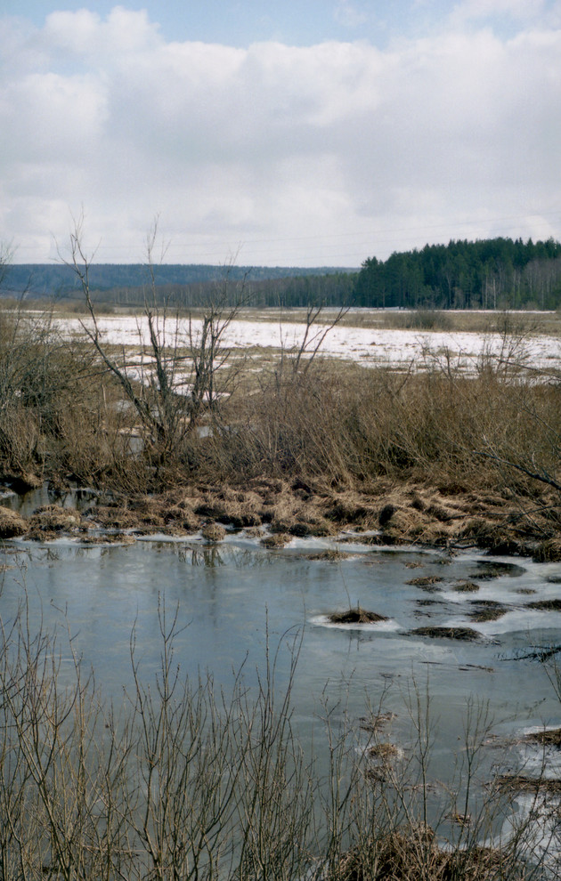 И все-таки уже весна: Календарь садовода на март