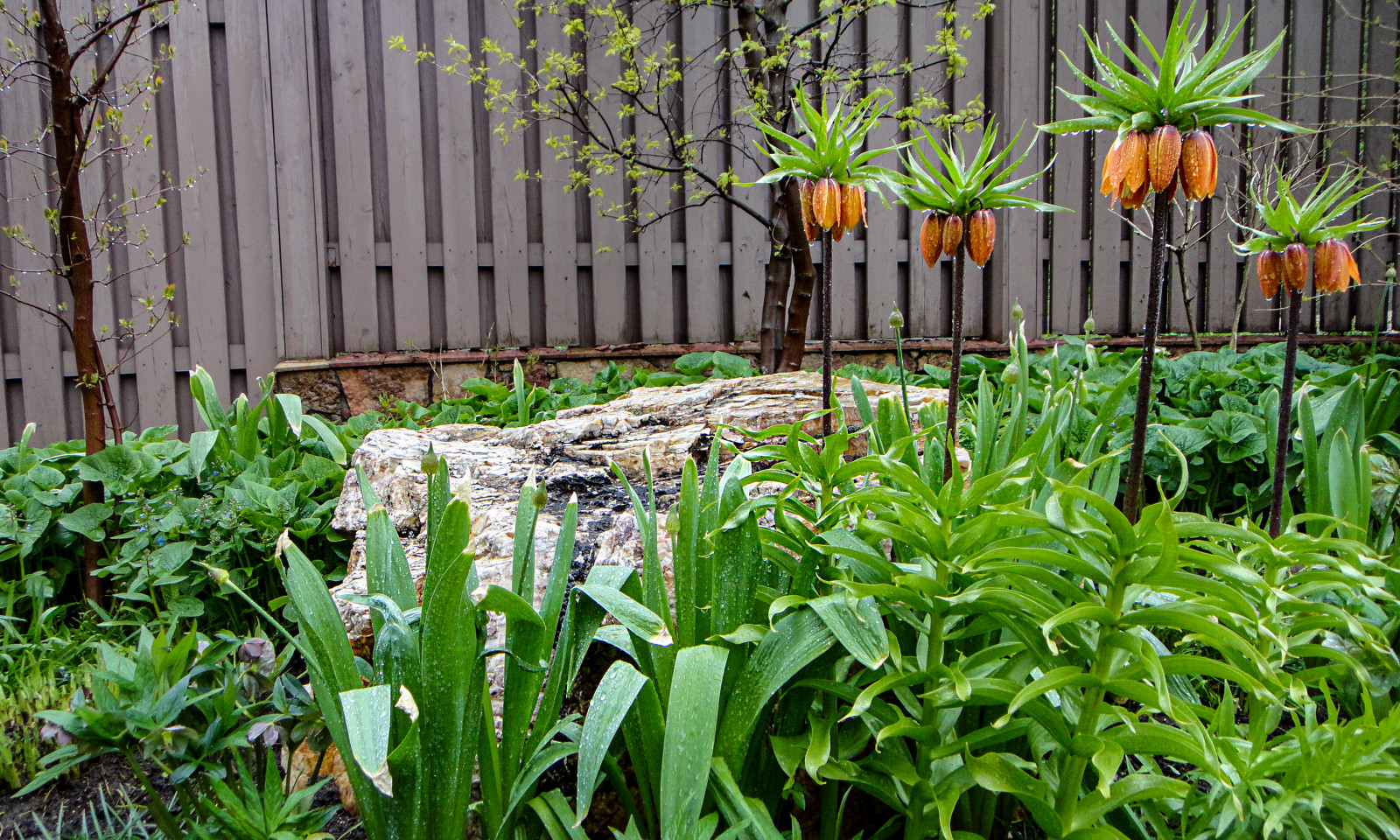 Усадьба на холме