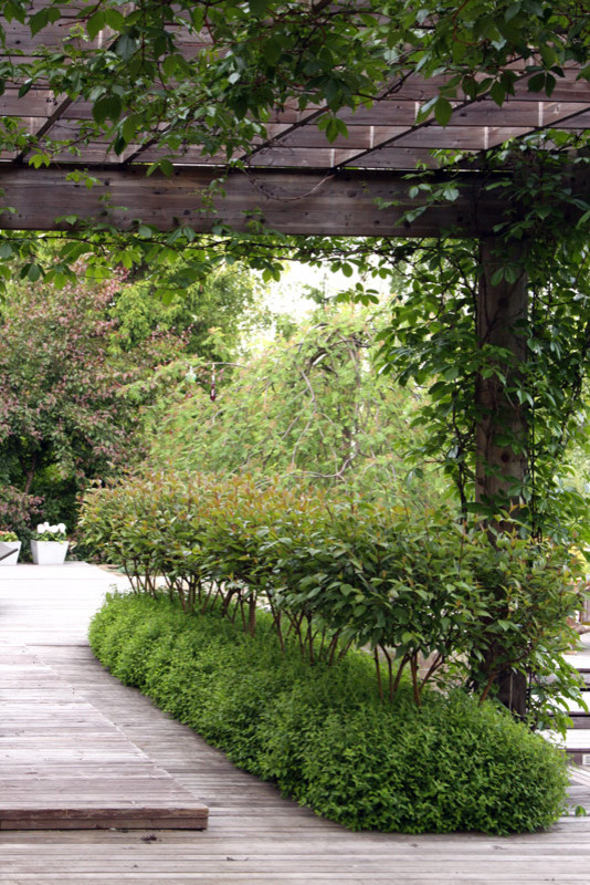 Большой сад для дружной семьи