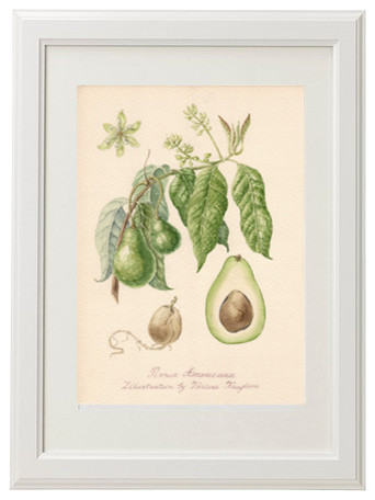 Серия ботанических иллюстраций