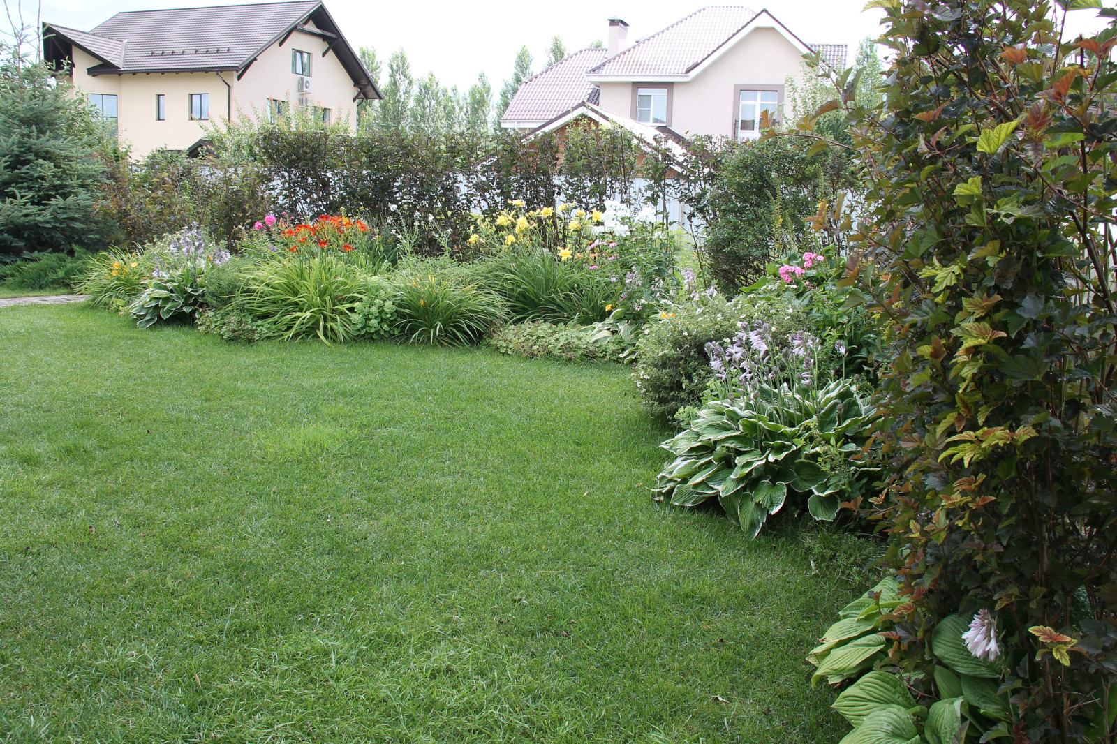 "Теплый ветер"