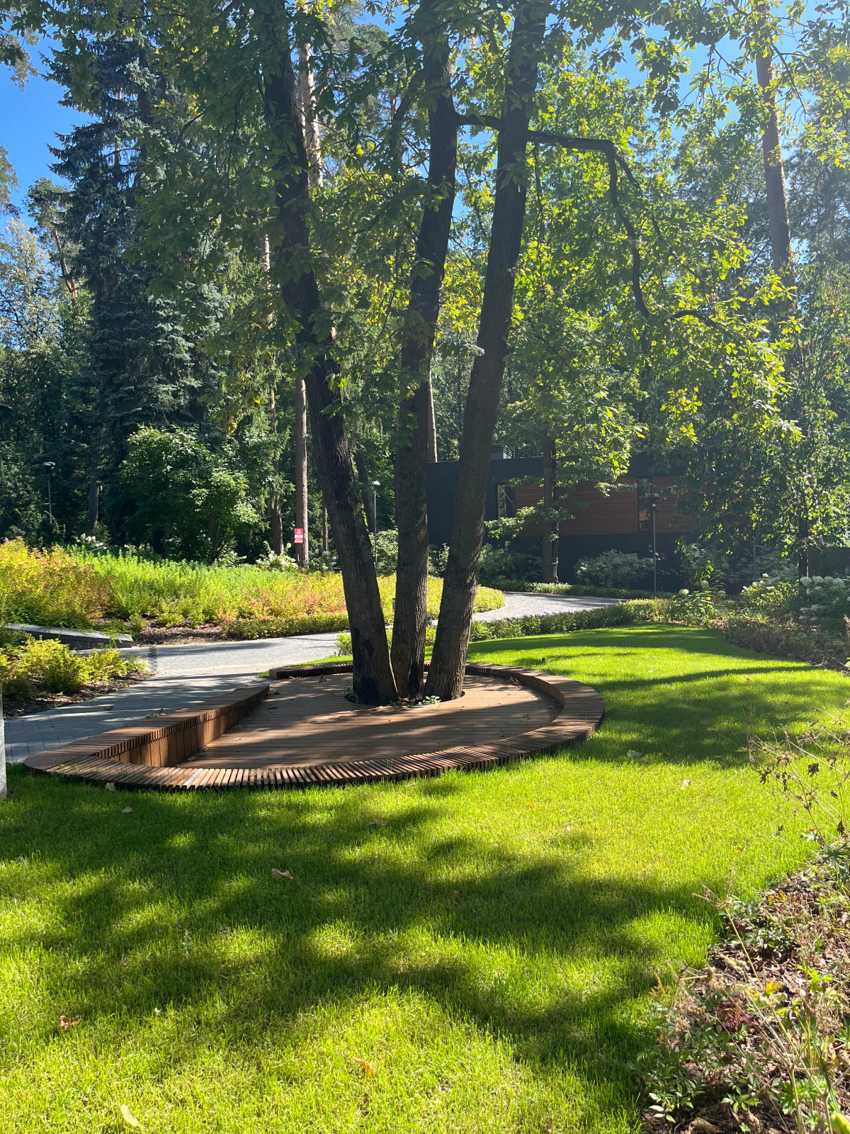 Петрово-Дальнее