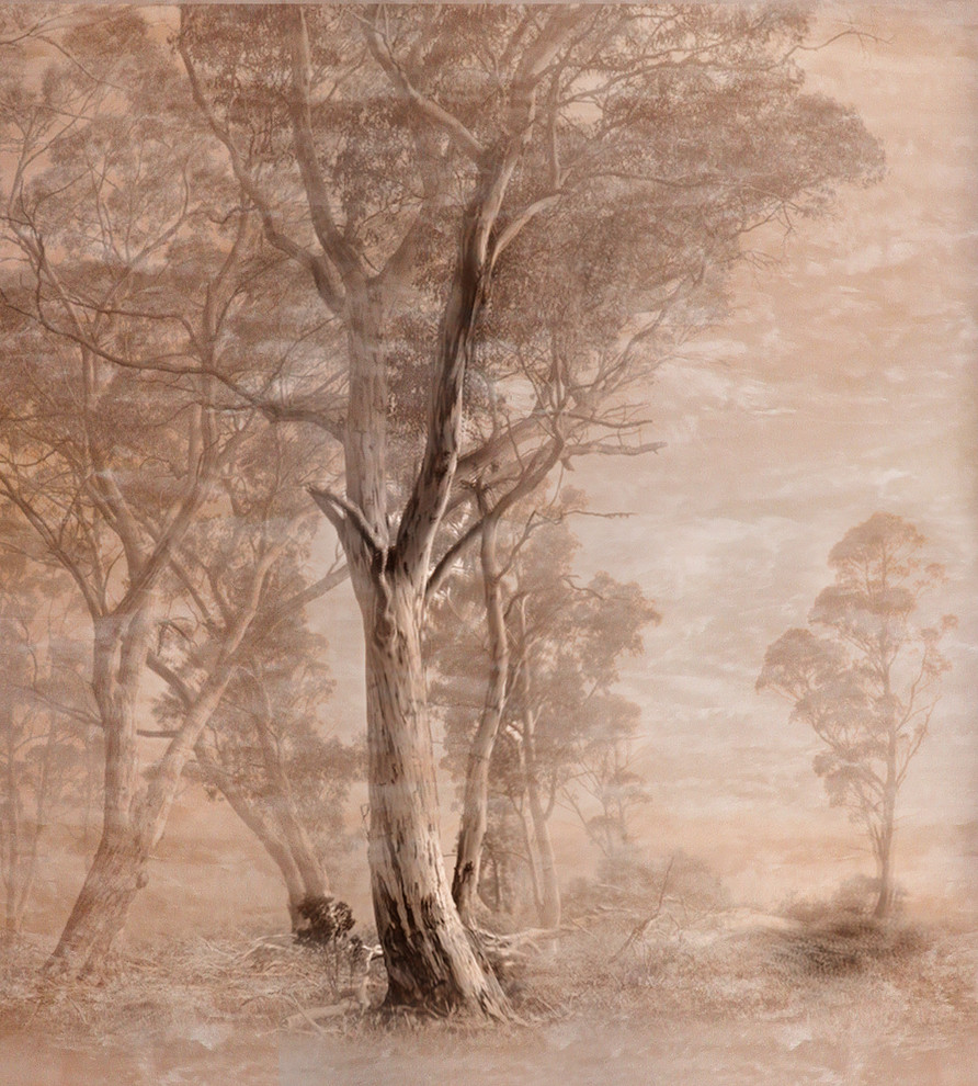 Villa Latchi. Cyprus