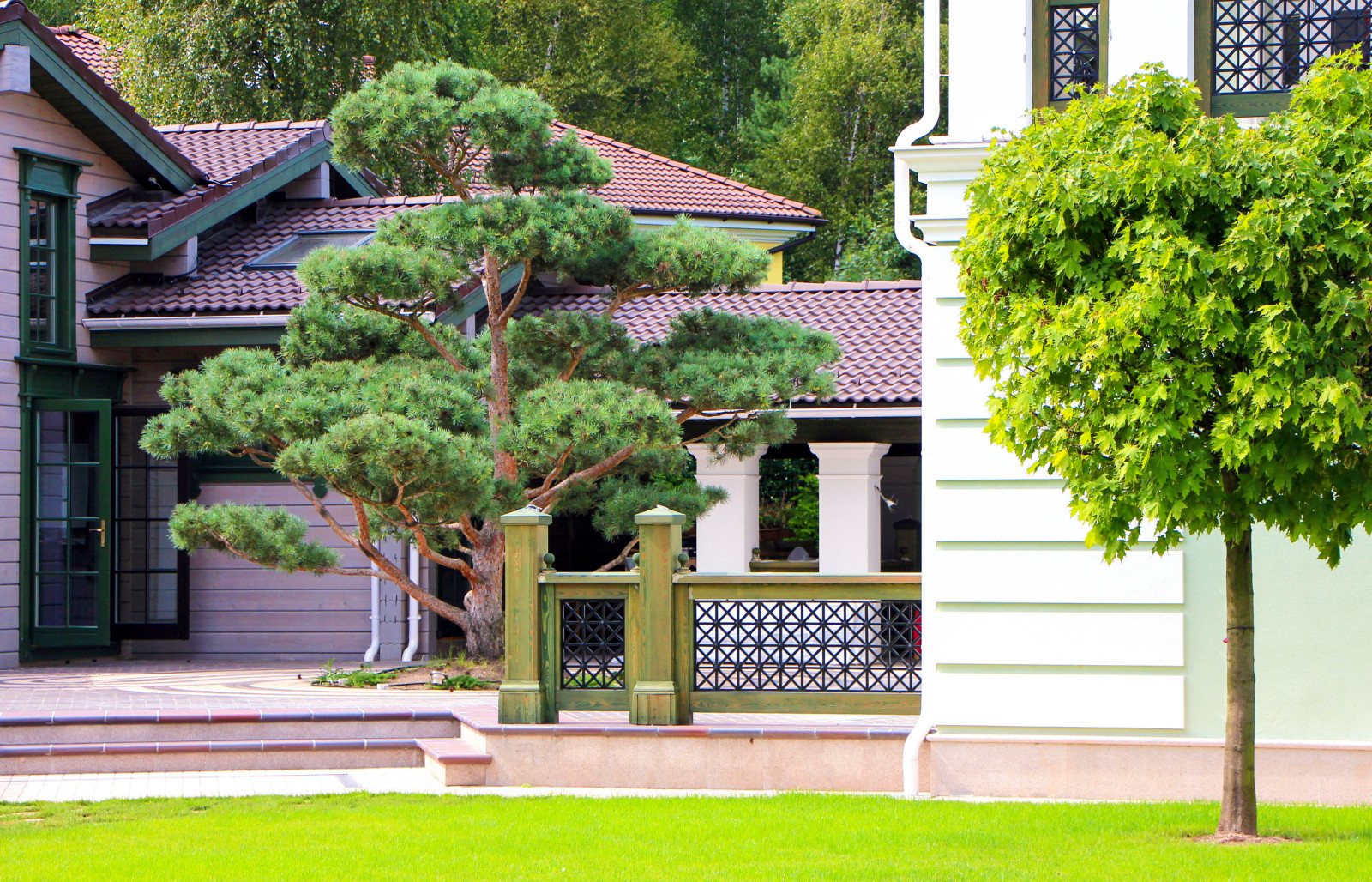 Королев, 2013-2016 гг.