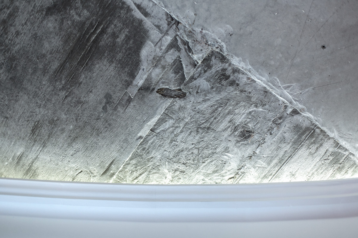 Peonies. Felt. Сoncrete.