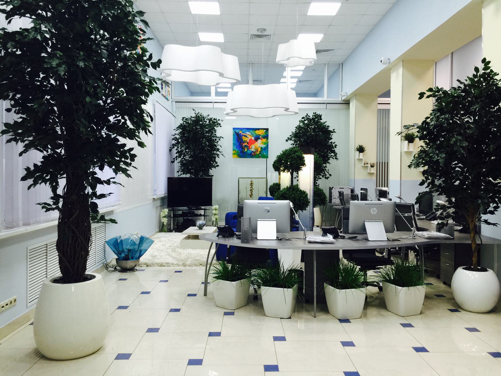Офис с деревьями