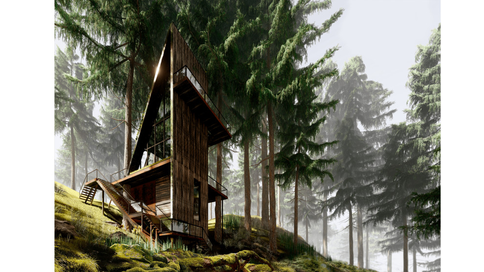 Обложка проекта: Концептуальный проект "Дом на дереве"