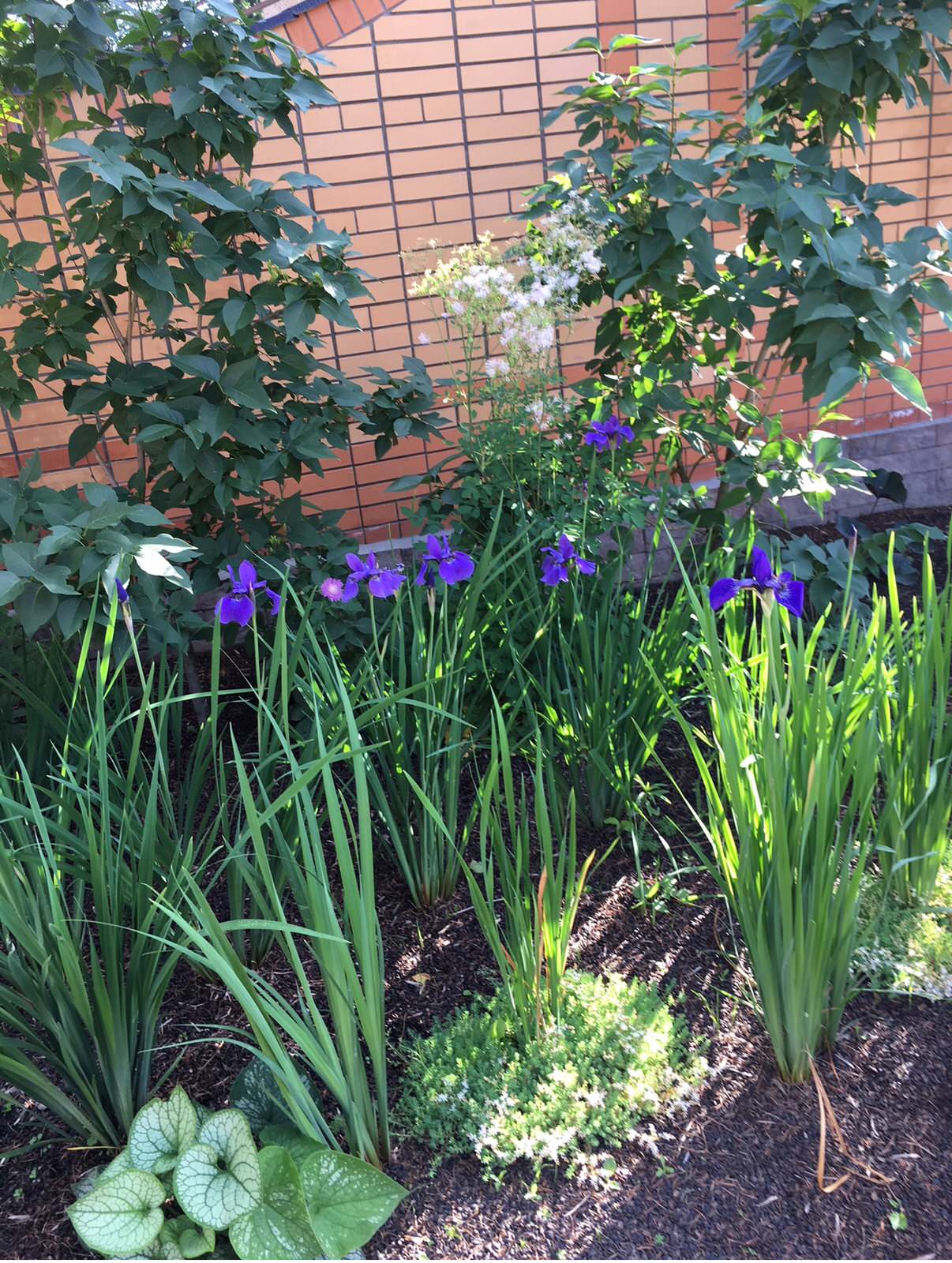 Ландшафтный дизайн участка 8,5 соток.