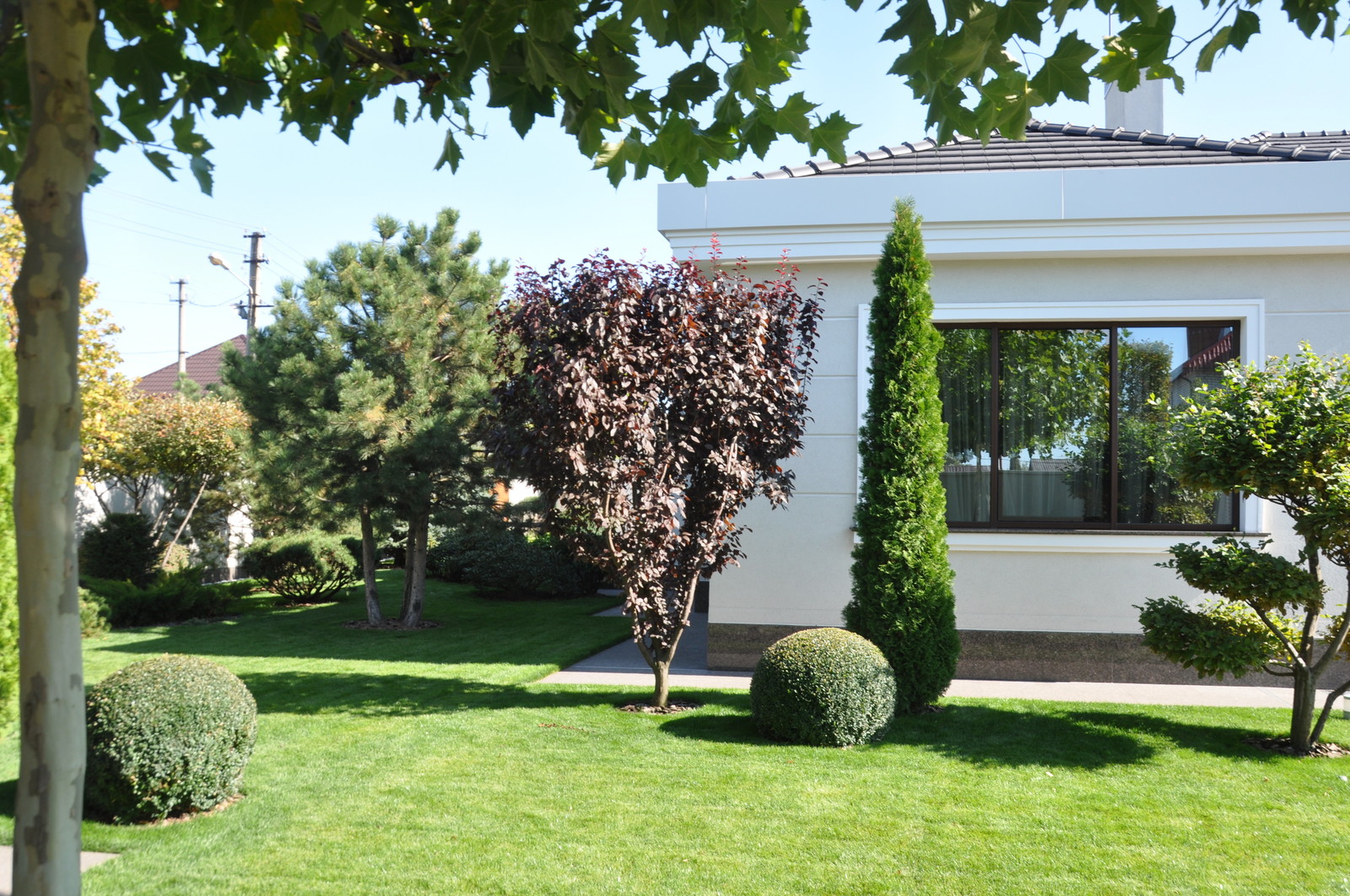 Private contemporary garden / Частный современный сад.