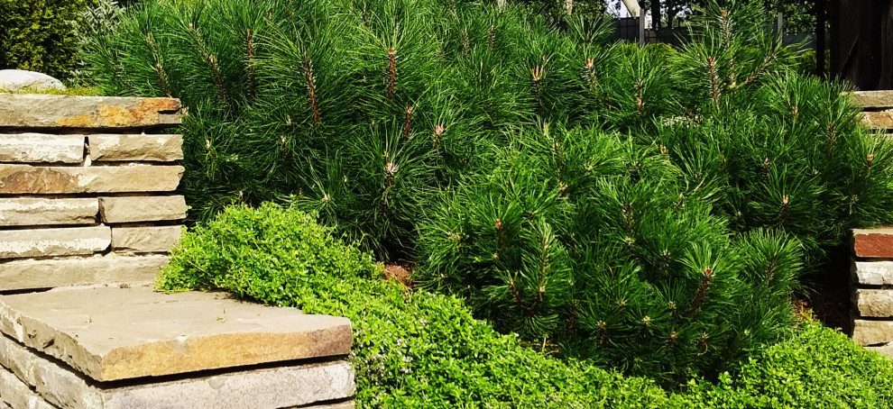 Обложка проекта: Усадьба на берегу залива