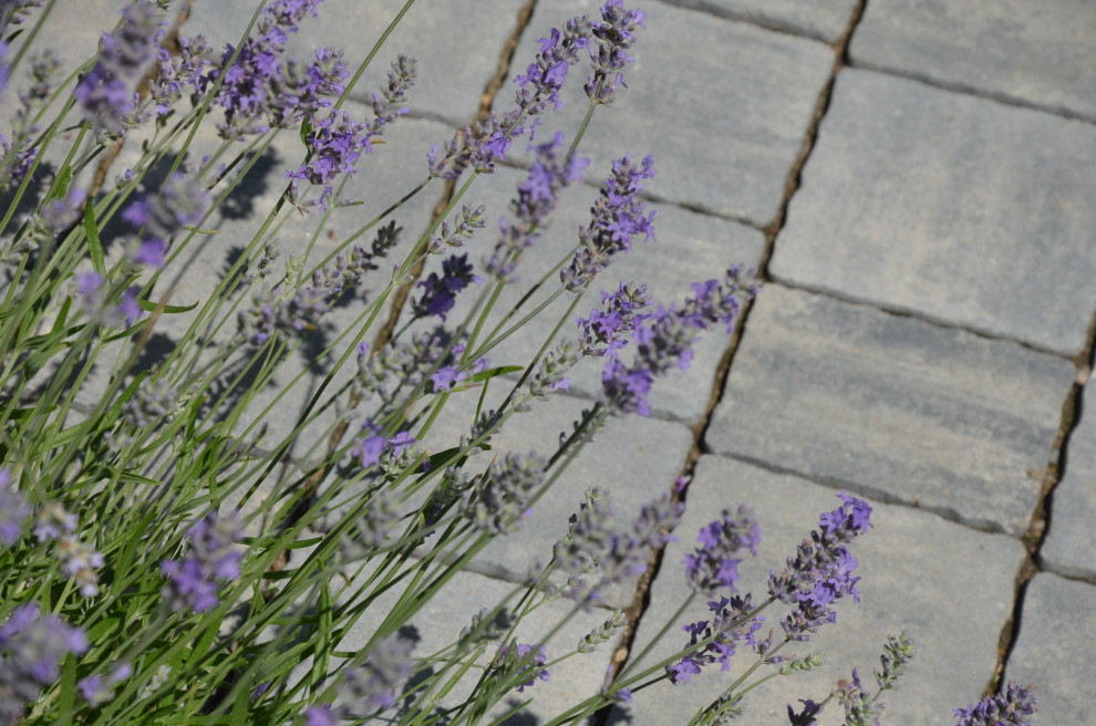 Мягкий и пушистый