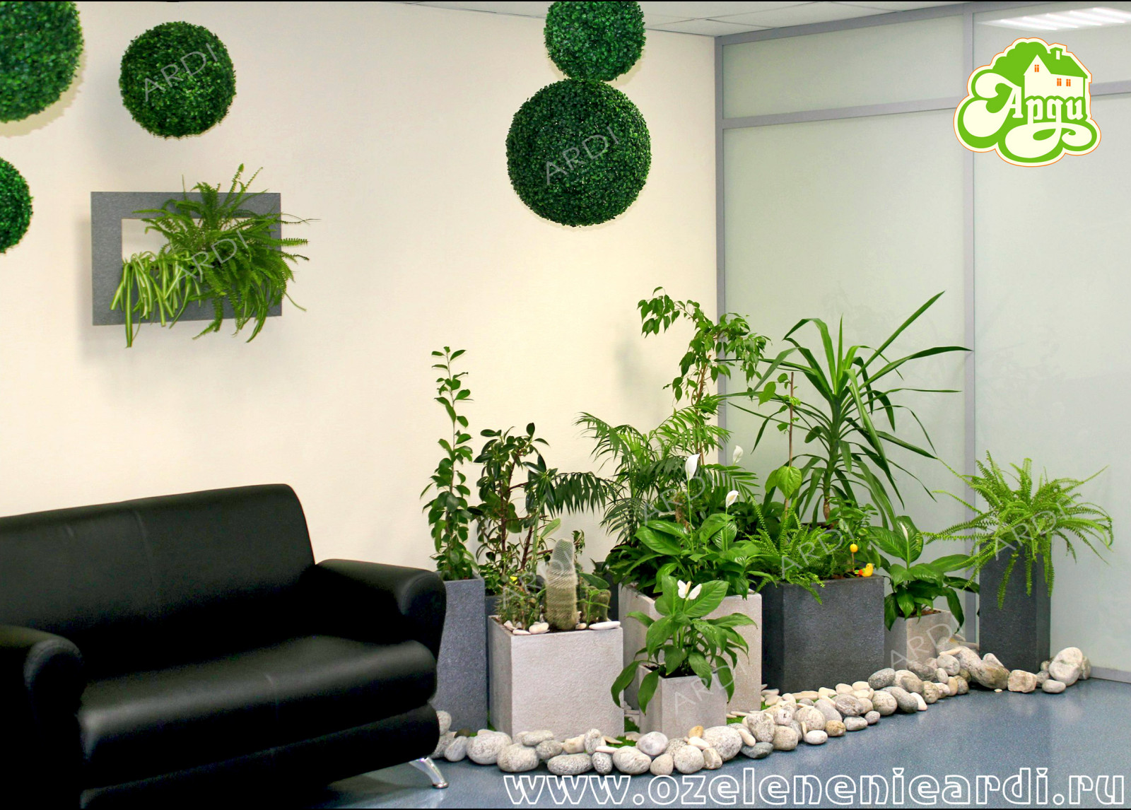 Обложка проекта: Частная клиника