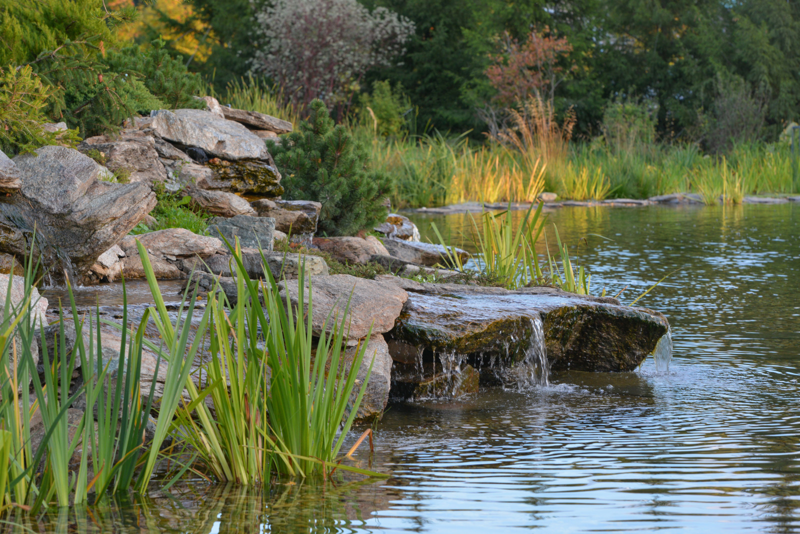 Проект сада с водоемом