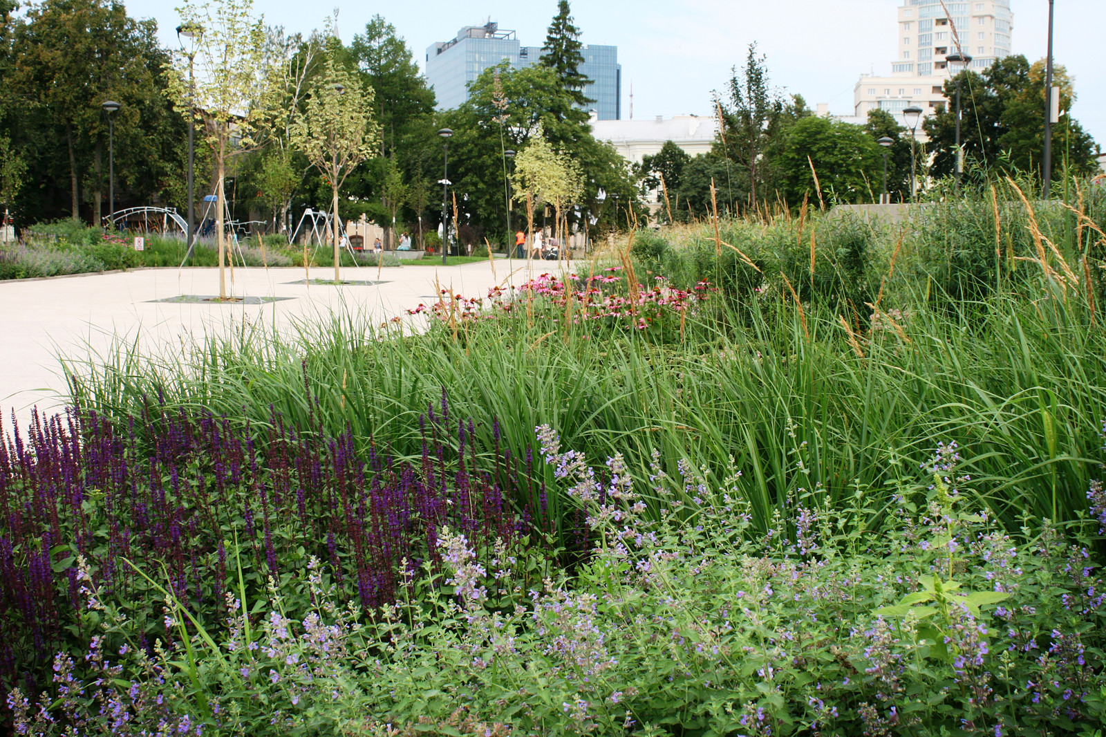 Цветники Советской площади
