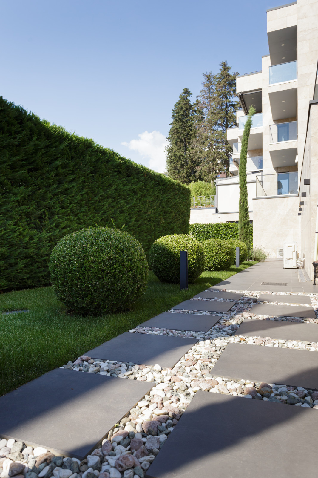 Розмарин. Ландшафтный Дизайн