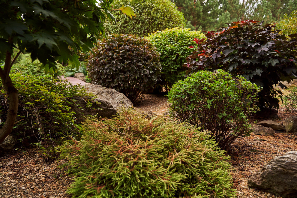 Японский садик "Живи,созерцая..."