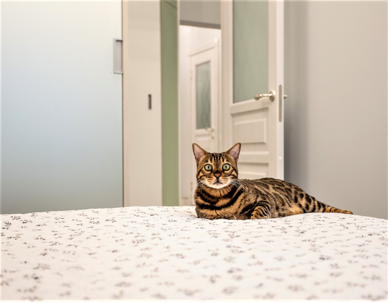 3-х к.кв. по ул. Ясененвая, г. Москва