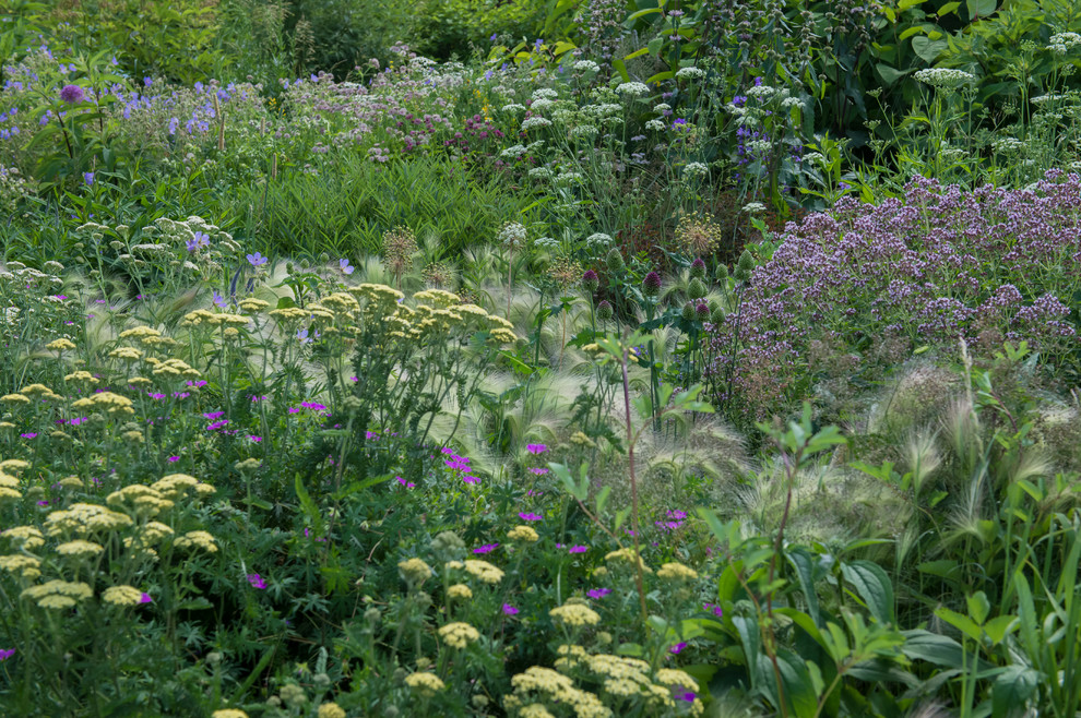 Цветник в  природном стиле  (" New Perennials"  или "Новая волна")