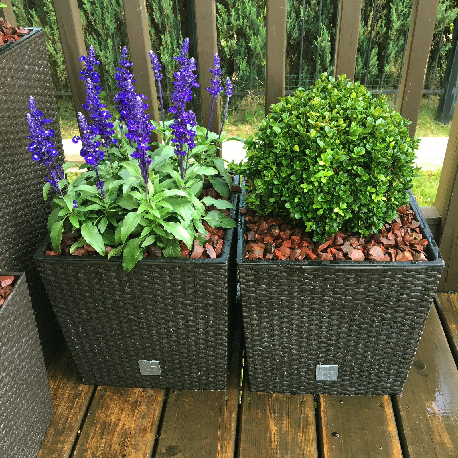 Летний сад на террасе