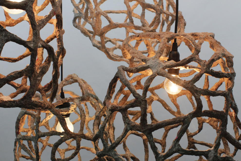 Обложка проекта: BIOSPHERA