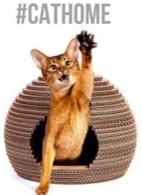 Cat Home