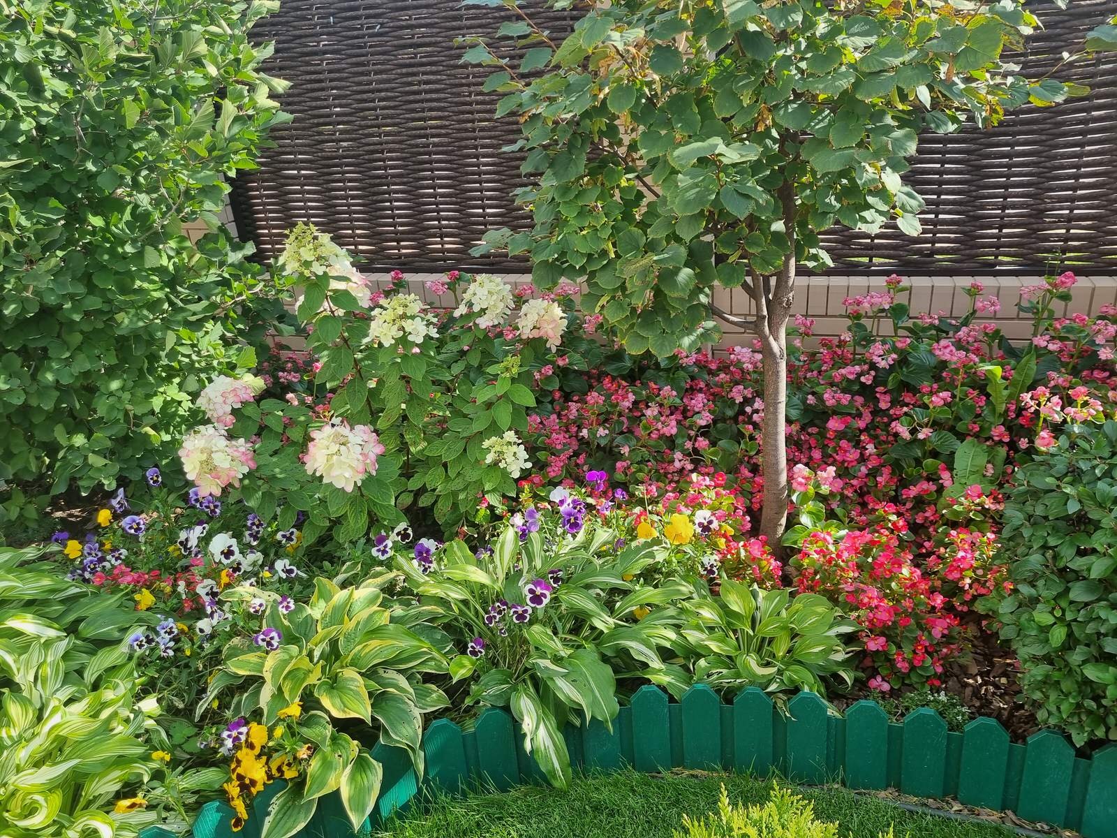 Серебрянный бор - 3