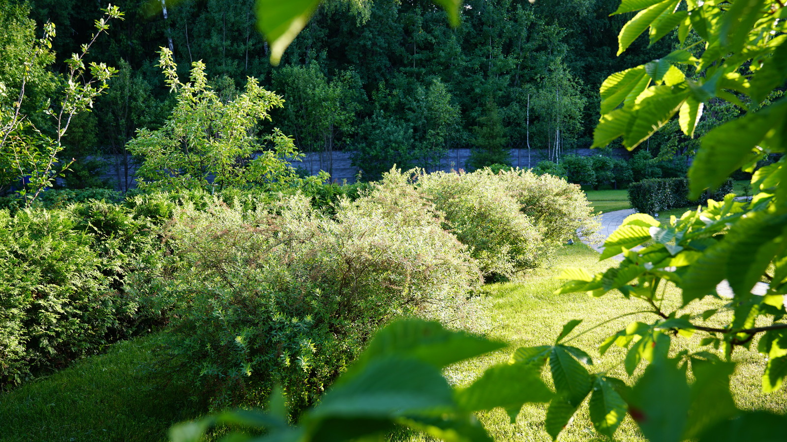 Вспоминая Нормандию КП Визендорф 2017 г