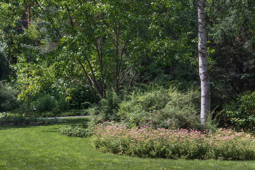 Лесная Рапсодия