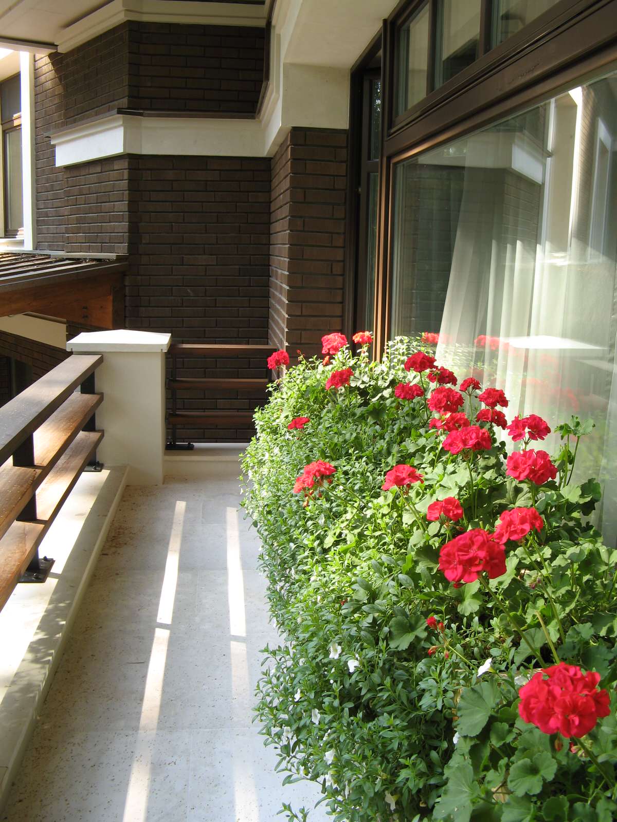 Обложка проекта: Фитодизайн 1