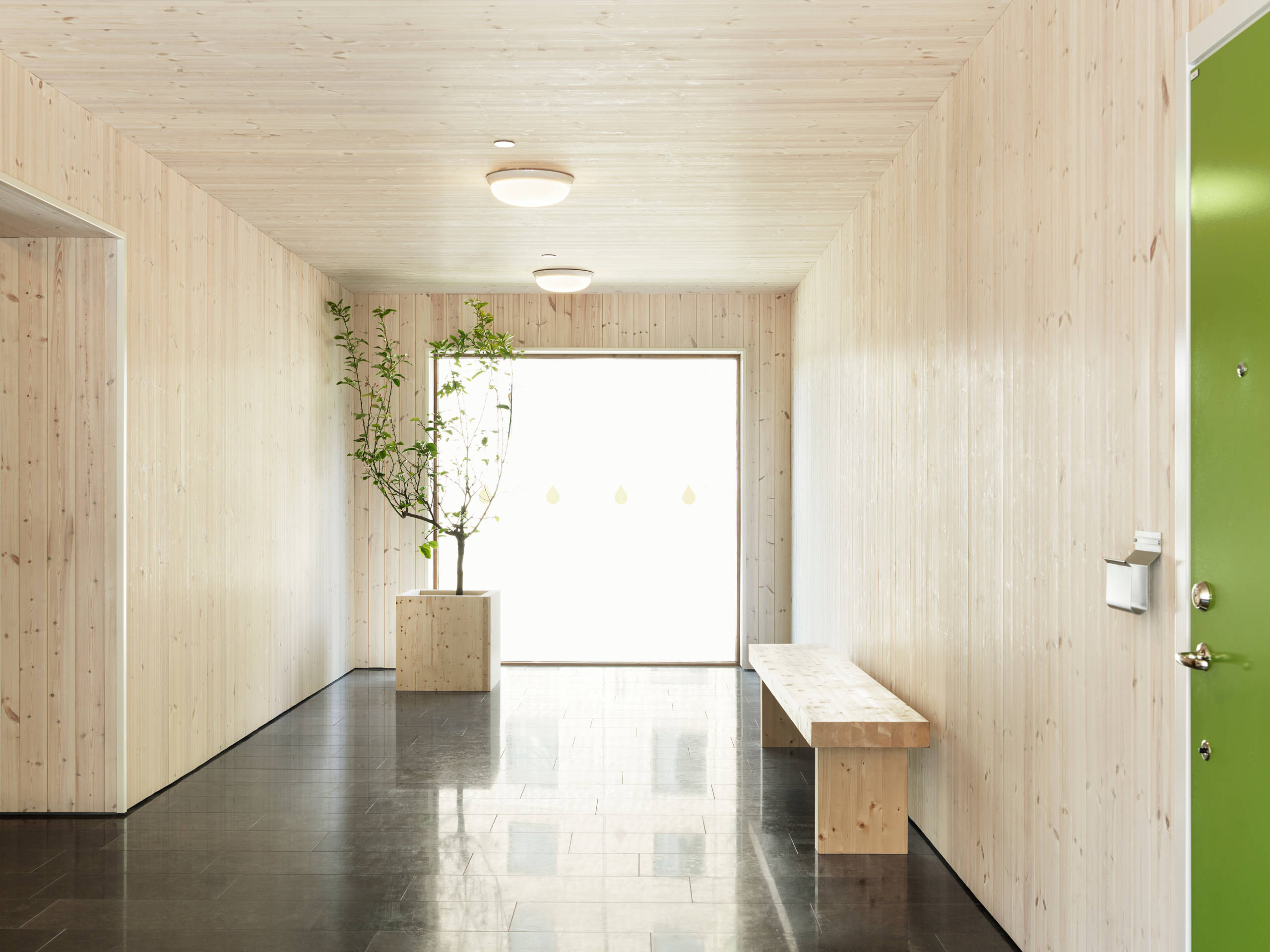 Деревоматериалы: 9 домов, доказывающие, что за ними будущее