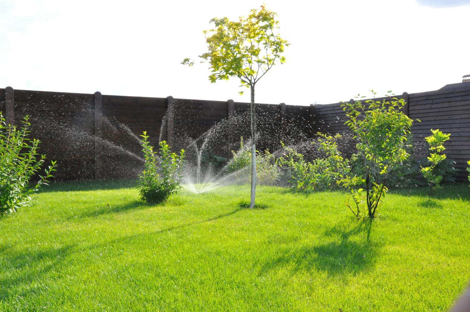 Обложка проекта: Благоустройство территории