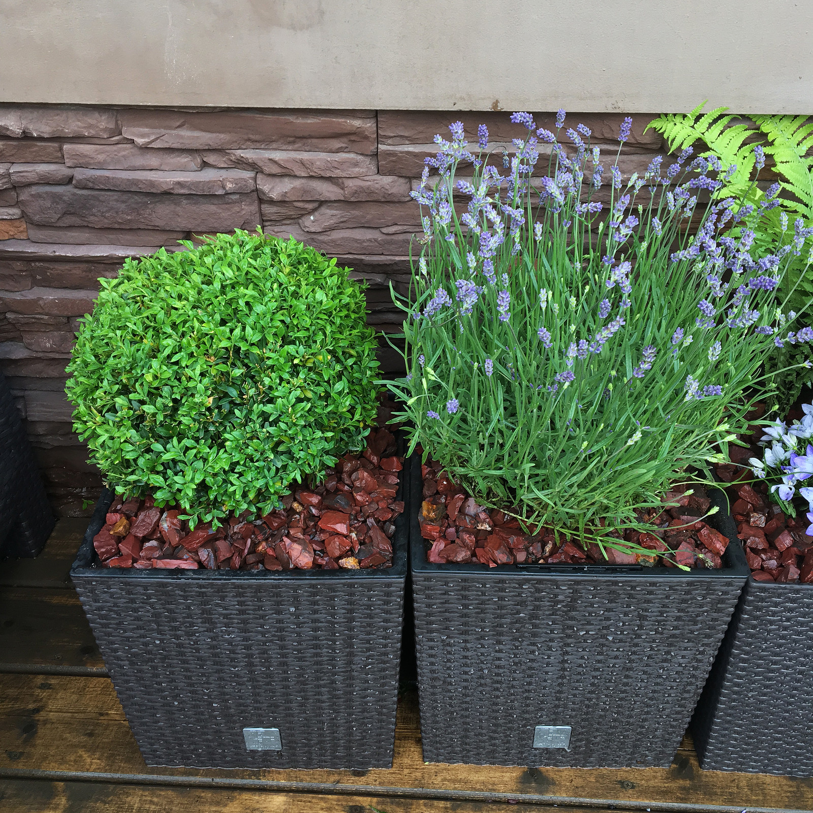 Летний сад на террасе